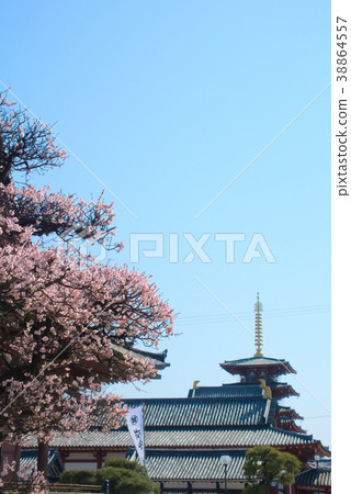 櫻花在大阪 38864557