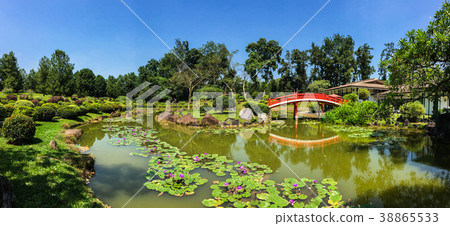 Japanese garden with red bridge and the pond 38865533
