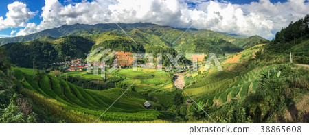Terraced rice field at autumn Terraced rice field at autumn 38865608