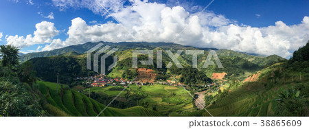 Terraced rice field at autumn Terraced rice field at autumn 38865609