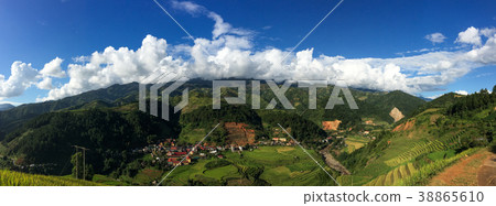 Terraced rice field at autumn Terraced rice field at autumn 38865610