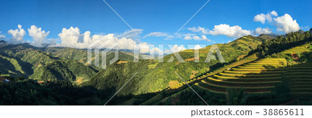 Terraced rice field at autumn Terraced rice field at autumn 38865611