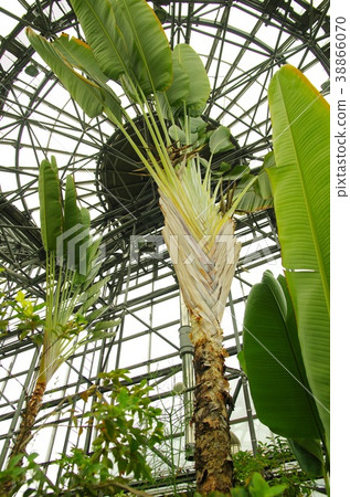 Ogi Bashaw Ogi Bashaw 38866070