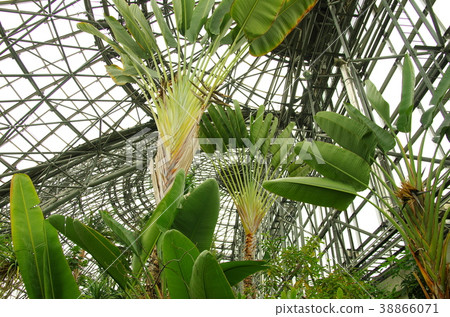 Ogi Bashaw Ogi Bashaw 38866071