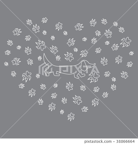 dachshund silhouette 38866664