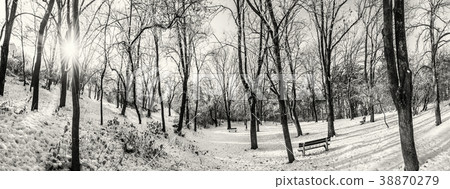 Snowy park with sun in winter, Nitra, colorless 38870279