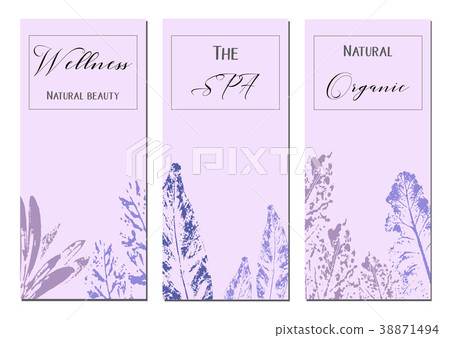 Collection of universal trendy cards. Collection of universal trendy cards. 38871494