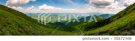 grassy slopes of Pikui mountain 38872306