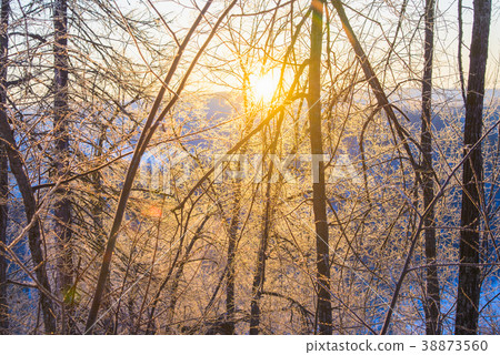 Majestic sunrise in winter mountains landscape 38873560