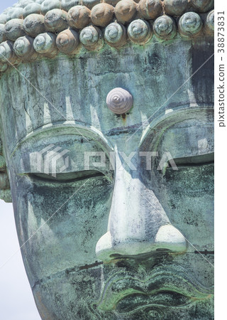 Kamakura Great Buddha Kamakura Great Buddha 38873831