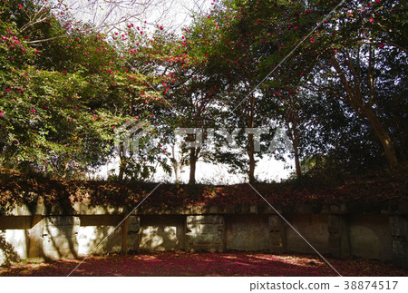 神奈川縣觀音崎公園三根樓電池5 38874517