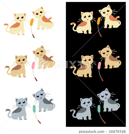 貓和貓的人造偏光板 貓和貓的人造偏光板 38876586