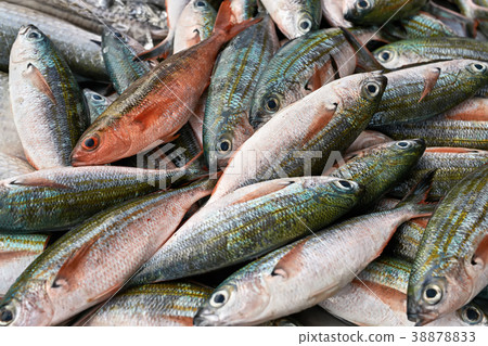 Many fishes on market Many fishes on market 38878833