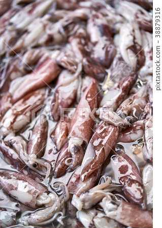 Small squids on market 38879316
