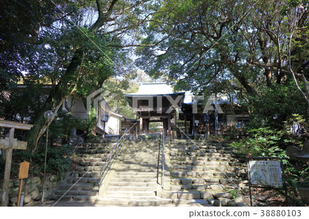 Shikakai Shrine_Fukuoka Prefecture Fukuoka City Higashi-ku Shikajima_ Sunny, Sunny, Blue Sky 38880103