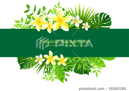 Exotic Toucan Bird, Colorful Hibiscus Flowers Exotic Toucan Bird, Colorful Hibiscus Flowers 38880280