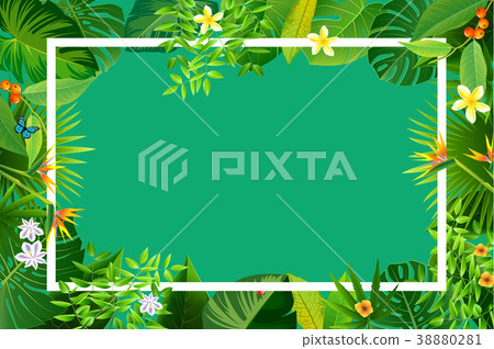 Frame of fresh green summer leaves 38880281