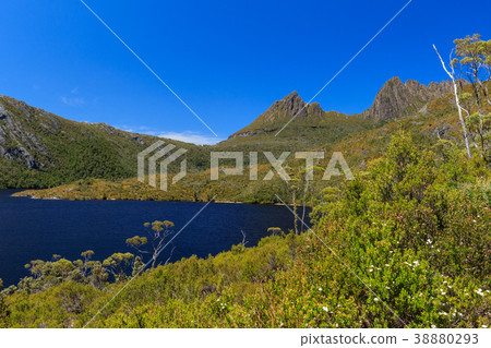 搖籃山塔斯馬尼亞島澳大利亞 38880293