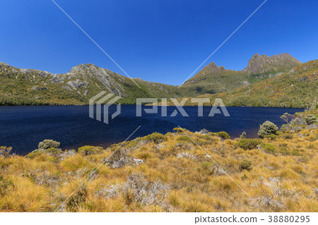 搖籃山塔斯馬尼亞島澳大利亞 38880295