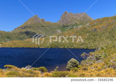 搖籃山塔斯馬尼亞島澳大利亞 38880296