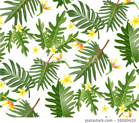 Seamless tropical pattern with palm leaves Seamless tropical pattern with palm leaves 38880428