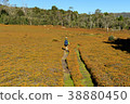 Trekking Australia Tasmania 38880450
