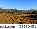 Trekking Australia Tasmania 38880451