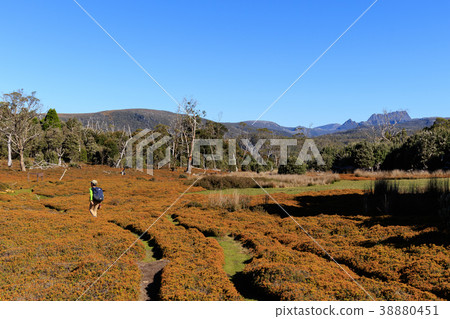 Trekking Australia Tasmania Trekking Australia Tasmania 38880451