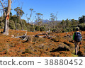 Trekking Australia Tasmania 38880452
