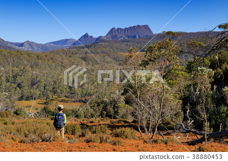 徒步旅行澳大利亞塔斯馬尼亞搖籃山 38880453