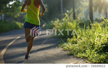 woman running on morning tropical forest trail 38880622