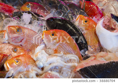 Seafood, fresh water, fish, seafood, fresh fish, fish, Seafood, fresh fish, fish 38880704