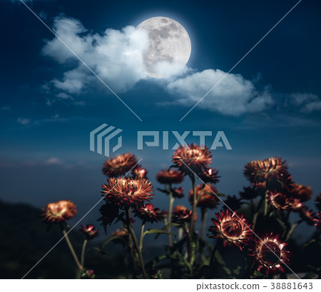 Nighttime sky with clouds and full moon with shiny Nighttime sky with clouds and full moon with shiny 38881643