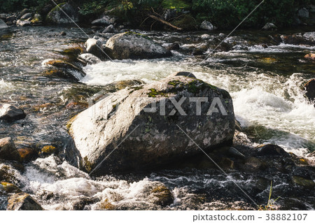 Fast mountain river in rapid flow in the forest 38882107