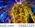 Palm tree illumination of Enoshima 38882299