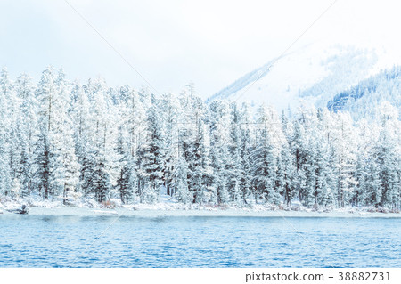 Winter mountain lake with snow-covered pine trees 38882731