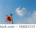 Hinomaru and Seagulls 38883155
