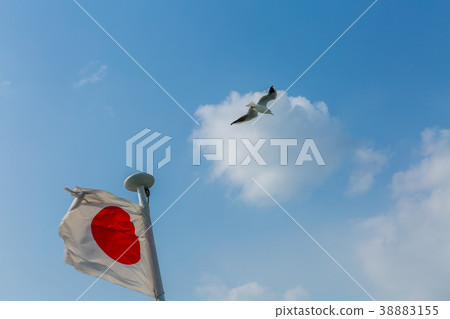 Hinomaru and Seagulls Hinomaru and Seagulls 38883155