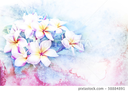 Flower watercolor illustration. 38884891