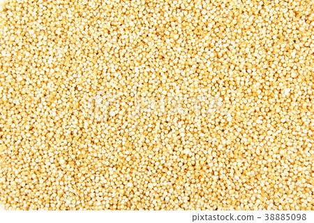 popped amaranth grain closeup food background popped amaranth grain closeup food background 38885098