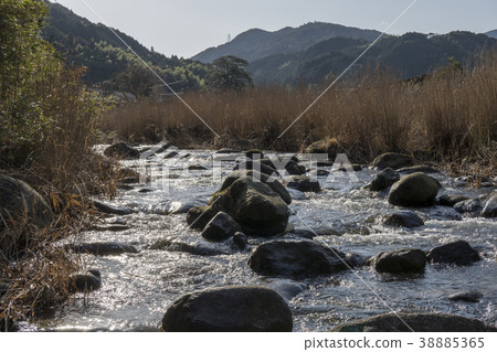 中之島公園 中之島公園 38885365