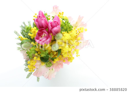 Arrangement of tulip, mimosa, sweet pea, bunnytail and buprerium (horizontal, diagonal, whole) Arrangement of tulip, mimosa, sweet pea, bunnytail and buprerium (horizontal, diagonal, whole) 38885820