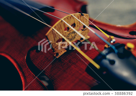 "Violin"-pieces 38886392