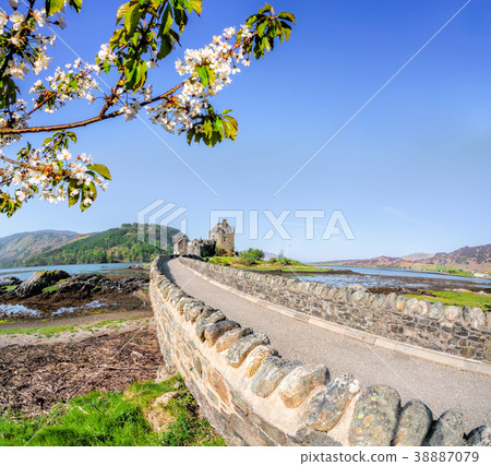 The Eilean Donan Castle with spring tree, Scotland 38887079