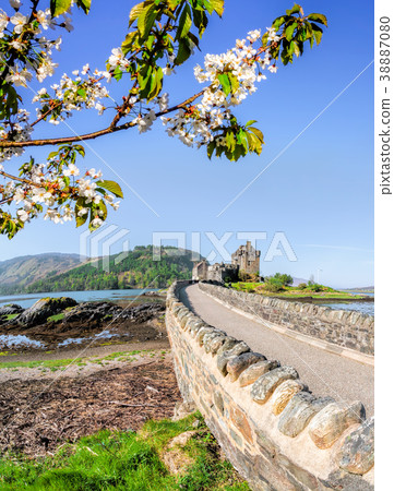 The Eilean Donan Castle with spring tree, Scotland 38887080