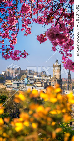 Edinburgh with spring trees in Scotland 38887082