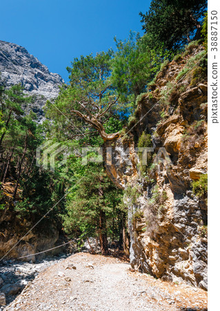 Samaria Gorge in central Crete, Greece Samaria Gorge in central Crete, Greece 38887150