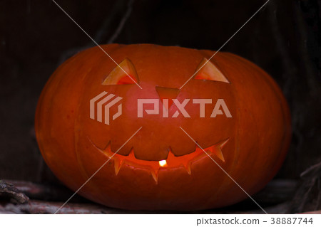 Halloween pumpkin in a forest. Close-up shot Halloween pumpkin in a forest. Close-up shot 38887744