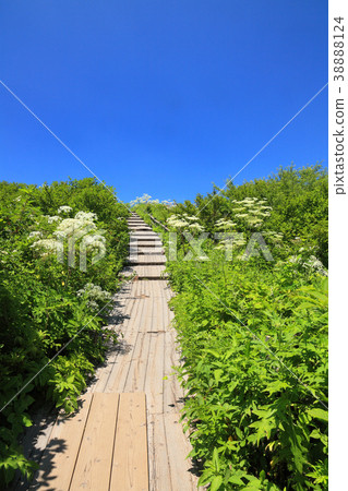 Hachijigahara Marsh 38888124