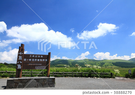 Hachijigahara Marsh 38888270